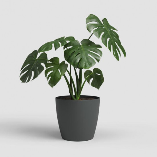Plastový obal na květináč SAN REMO, průměr 18 cm, antracitový-27591