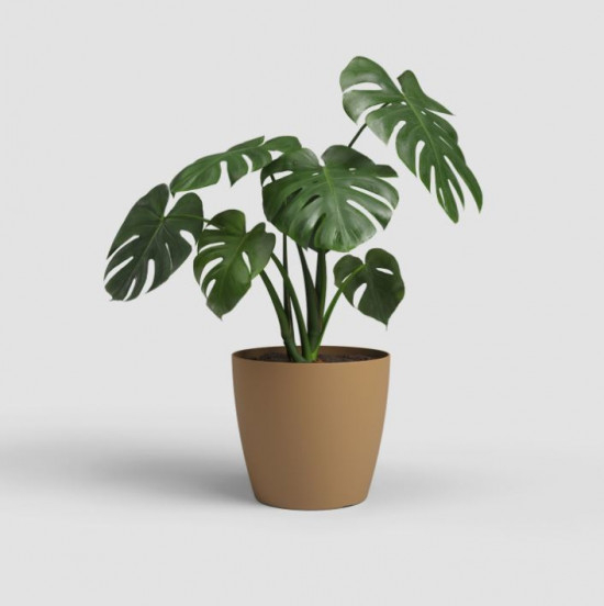 Plastový obal na květináč SAN REMO, průměr 18 cm, okrový-27583