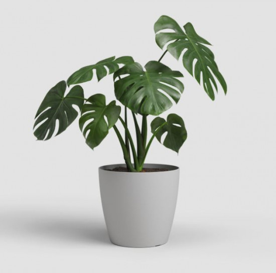 Plastový obal na květináč SAN REMO, průměr 18 cm, světle šedý-27597