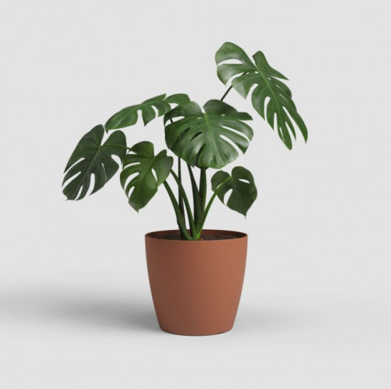 Plastový obal na květináč SAN REMO, průměr 18 cm, terakotový-27581