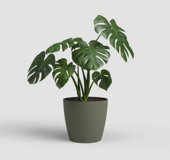 Plastový obal na květináč SAN REMO, průměr 18 cm, tmavě zelený-27599