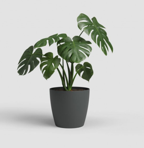 Plastový obal na květináč SAN REMO, průměr 20 cm, antracitový-27589
