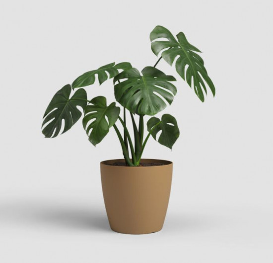 Plastový obal na květináč SAN REMO, průměr 20 cm, okrový-27603