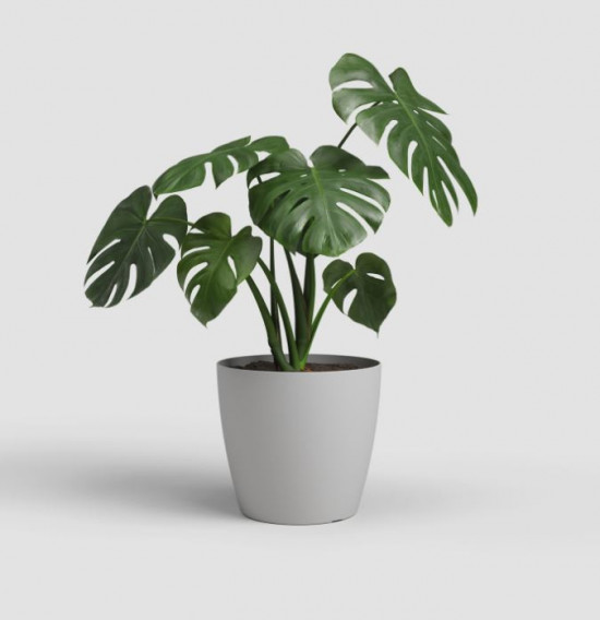 Plastový obal na květináč SAN REMO, průměr 20 cm, světle šedý-27575