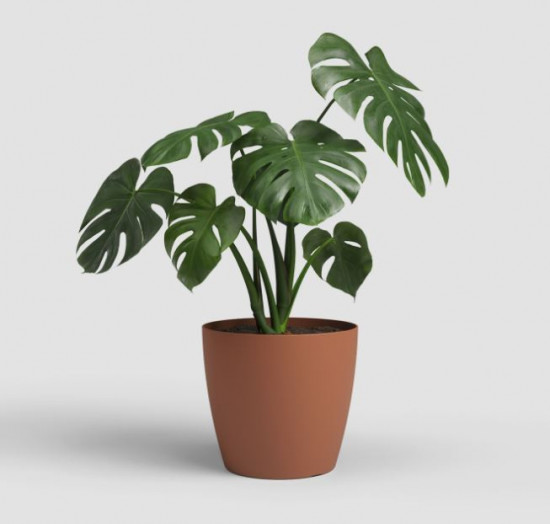 Plastový obal na květináč SAN REMO, průměr 20 cm, terakotový-27585
