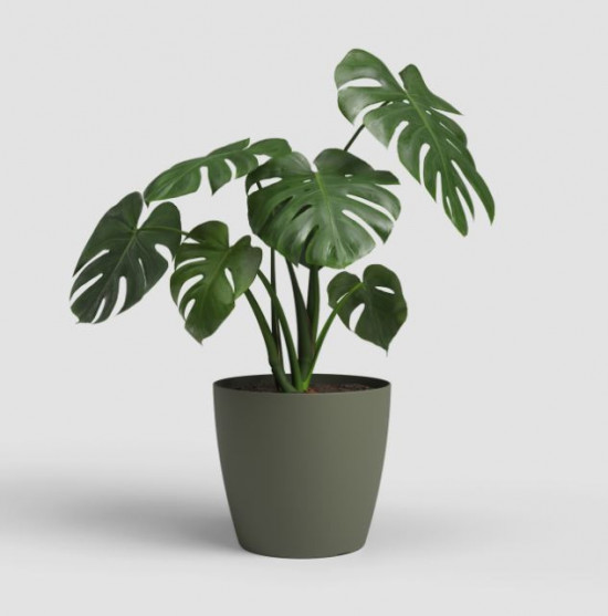 Plastový obal na květináč SAN REMO, průměr 20 cm, tmavě zelená-27700
