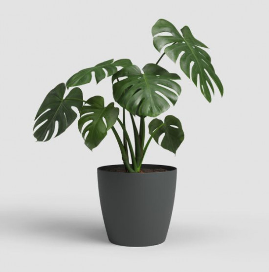 Plastový obal na květináč SAN REMO, průměr 25 cm, antracitový-27637