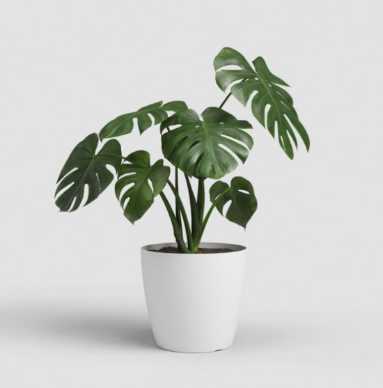 Plastový obal na květináč SAN REMO, průměr 25 cm, bílý-27621