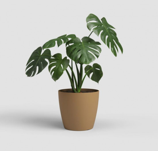 Plastový obal na květináč SAN REMO, průměr 25 cm, okrový-27625
