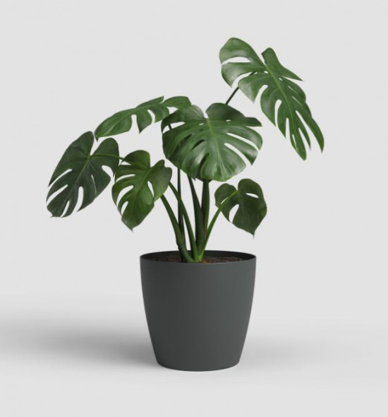 Plastový obal na květináč SAN REMO, průměr 30 cm, antracitový-27629
