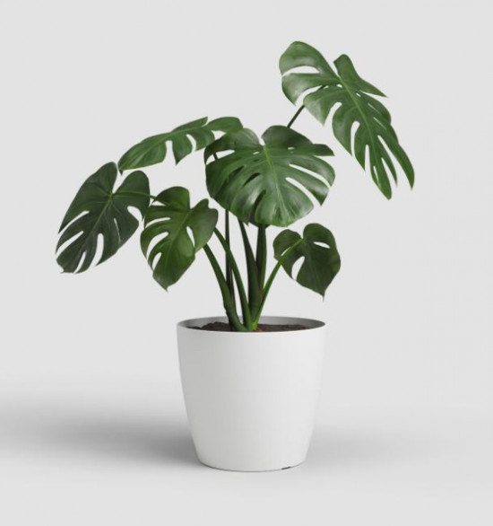 Plastový obal na květináč SAN REMO, průměr 30 cm, bílý-27627
