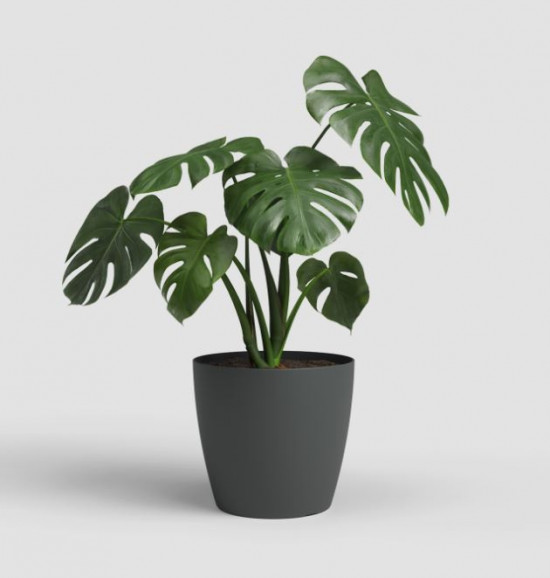 Plastový obal na květináč SAN REMO, průměr 36 cm, antracitový-27615