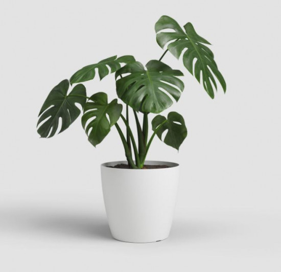 Plastový obal na květináč SAN REMO, průměr 36 cm, bílý-27641