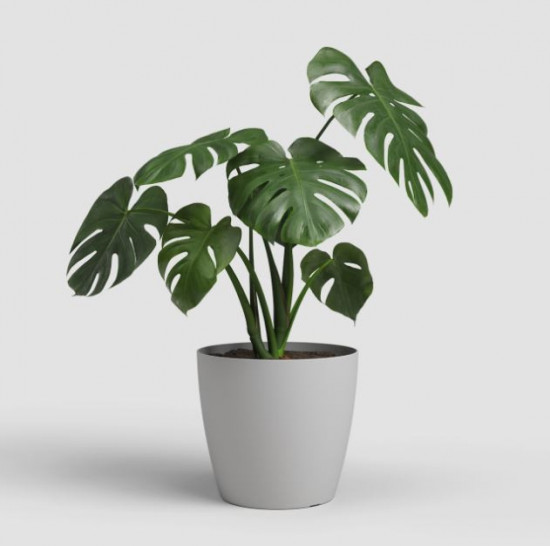 Plastový obal na květináč SAN REMO, průměr 36 cm, světle šedý-27617