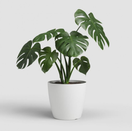 Plastový obal na květináč SAN REMO, průměr 42 cm, bílý-27631