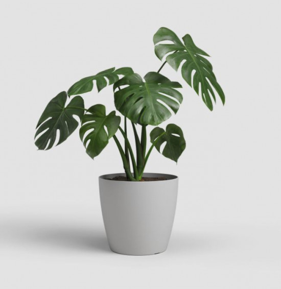 Plastový obal na květináč SAN REMO, průměr 42 cm, světle šedý-27633