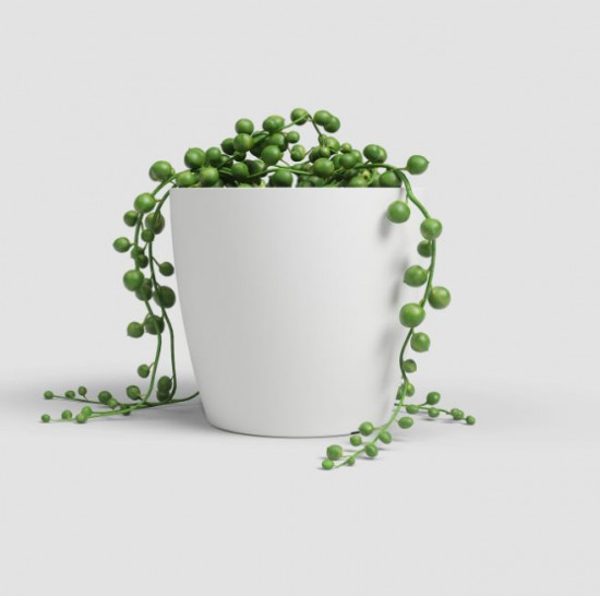 Plastový obal na květináč SAN REMO, průměr 8 cm, bílý-27551