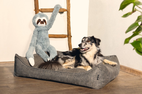 Plyšová hračka pro psy, lenochod Mess, šedá, 80 cm-28688