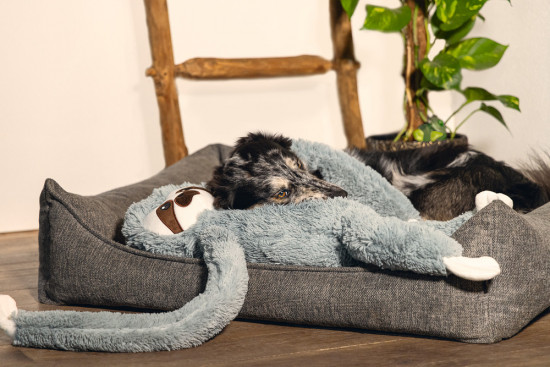 Plyšová hračka pro psy, lenochod Mess, šedá, 80 cm-28691