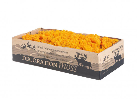 Preparovaný lišejník, 500 g, oranžový-16734
