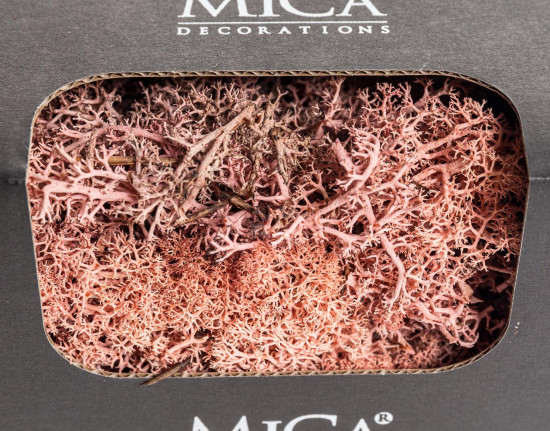 Preparovaný lišejník, Mica, 50 g, lososová-20189