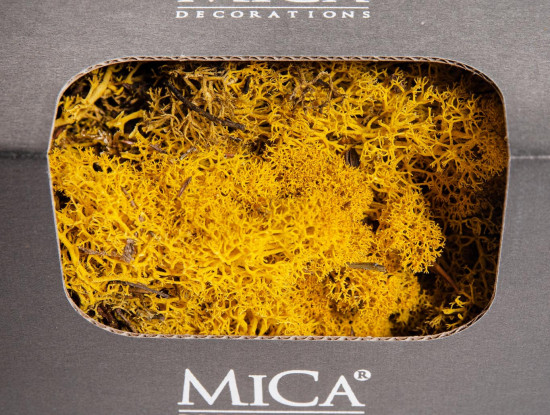 Preparovaný lišejník, Mica, 50 g, žlutá-20192