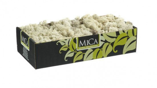 Preparovaný lišejník, Mica, 500 g, přírodní