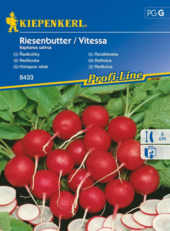 Ředkvička máslová Reisenbutter Vitessa, Kiepenkerl, semínka