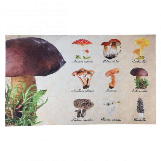 Rohožka s motivem hub, Esschert Design, plastová, délka 75 cm