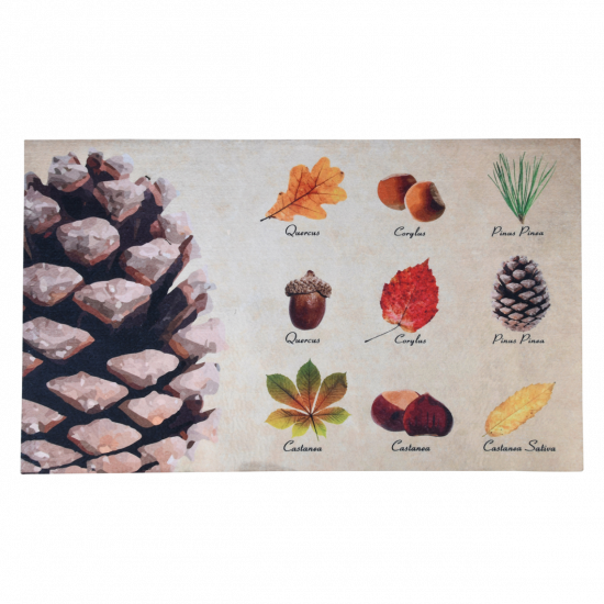 Rohožka s motivem listů a plodů, Esschert Design, plastová, délka 75 cm