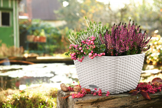 Samozavlažovací květináč Lechuza BACINO Cottage 30, komplet set, bílý-24745