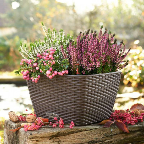 Samozavlažovací květináč Lechuza BACINO Cottage 30, komplet set, mokka-24750