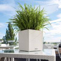 Samozavlažovací květináč Lechuza CUBE Cottage 30, komplet set, bílý-2620