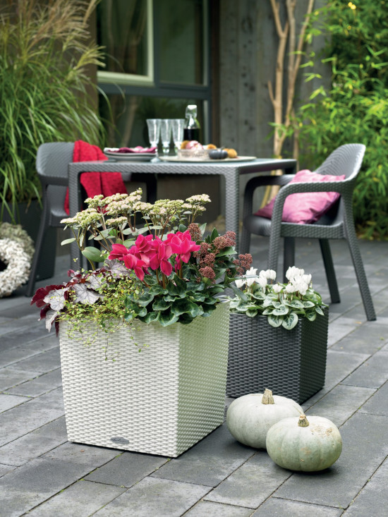 Samozavlažovací květináč Lechuza CUBE Cottage 50, komplet set, bílý-1359