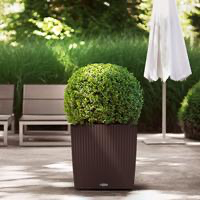 Samozavlažovací květináč Lechuza CUBE Cottage 50, komplet set, moka-2631