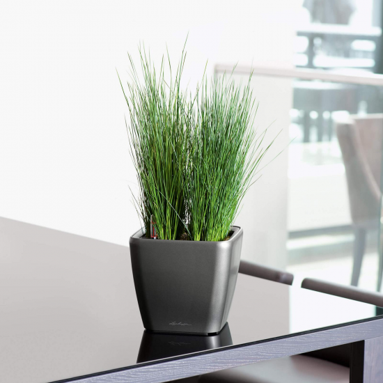 Samozavlažovací květináč Lechuza QUADRO LS 21, komplet set, antracitový-2990