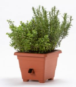 Samozavlažovací květináč Plastia BERGAMOT 25, terakotový-6132