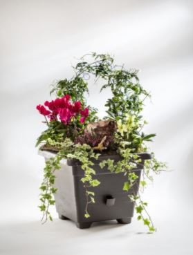 Samozavlažovací květináč Plastia BERGAMOT 35, čokoládový-6148