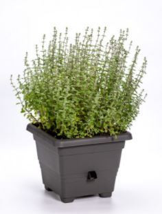 Samozavlažovací květináč Plastia BERGAMOT 50, antracitový-6161
