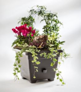 Samozavlažovací květináč Plastia BERGAMOT 50, čokoládový-6206