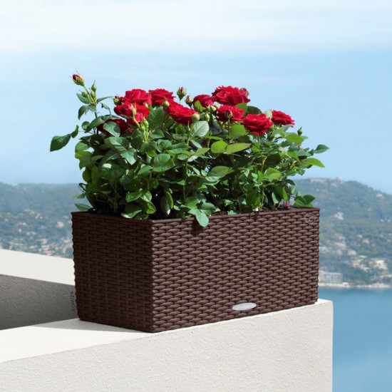 Samozavlažovací truhlík Lechuza BALCONERA Cottage 50 - komplet set, moka-1342