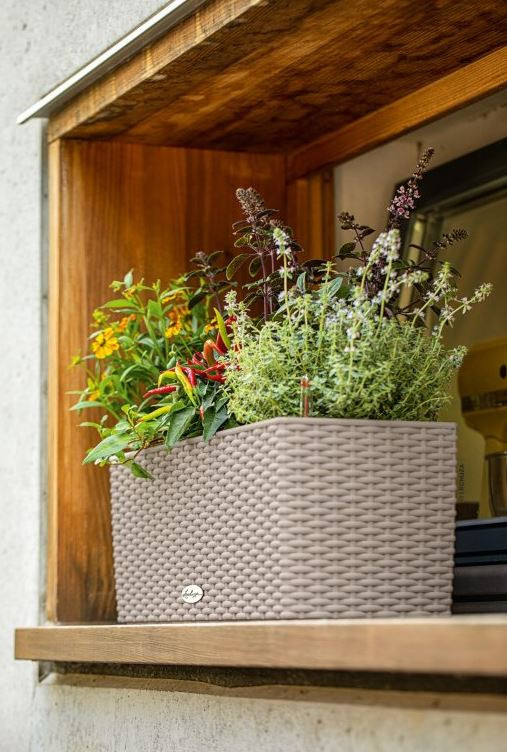 Samozavlažovací truhlík Lechuza BALCONERA Cottage 50, komplet set, pískový-25210