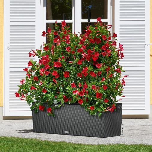 Treláž Lechuza BALCONERA TRIO 100-1450