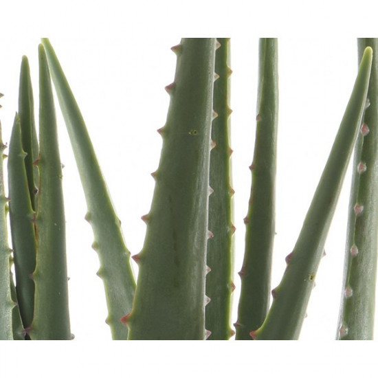 Umělá aloe vera, v květináči, zelená, výška 40 cm-17573