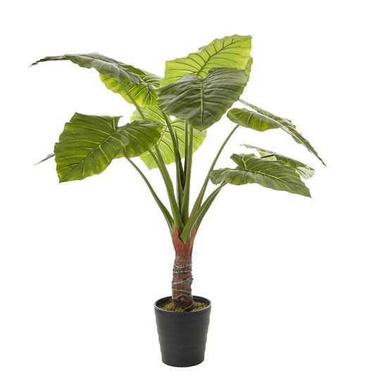 Umělá kolokázie Mica, v květináči, zelená, výška 130 cm