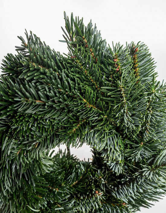 Věnec z chvojí jedle kavkazské, jednostranný, průměr 20 cm-22947