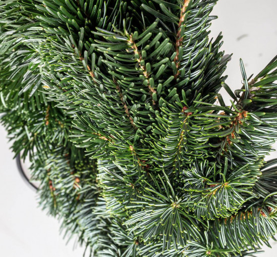 Věnec z chvojí jedle kavkazské, jednostranný, průměr 20 cm-22948