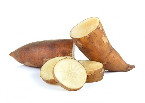 Yacon Inka, neroubovaný, v květináči