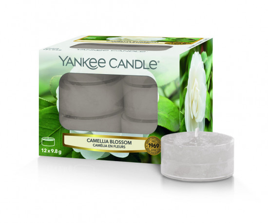 YANKEE svíčka čajová Camellia Blossom 12ks-622