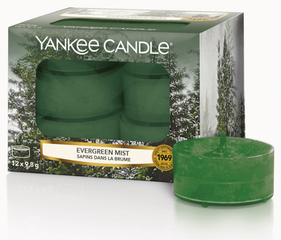 YANKEE svíčka čajová Evergreen Mist 12ks